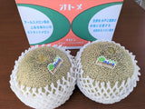 メロン 【OTM出荷組合】 メロン オトメメロン 2玉 2L 糖度15度以上 贈答用 母の日 茨城県鉾田市 茨城町 《4/下旬～5/上旬より出荷》