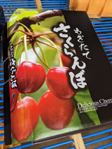 さくらんぼ 【有我果樹園】 佐藤錦 紅秀峰 紅てまり どれか1品種 1kg 2L 贈答用 福島県須賀川市 《6/中旬～6/下旬の出荷》
