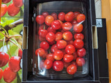 さくらんぼ 【有我果樹園】 佐藤錦 紅秀峰 紅てまり どれか1品種 500g L 福島県須賀川市 《6/中旬～6/下旬の出荷》