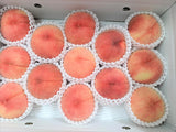 桃 【有我果樹園】 もも 品種色々 ミックス 5kg 12～16玉 贈答用  福島県 須賀川市  プレゼント 予約 《7/下旬～8/上旬から出荷》