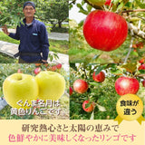りんご 【有我果樹園】 2色 リンゴ ぐんま名月 フジ 5kg 16～18個 御歳暮 福島県須賀川市《11/下旬～12/上旬より出荷》