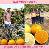 柑橘 【高石垣ファーム】 有田地区 柑橘食べ比べ 3種類以上 家庭用 4kg 訳あり みかん 和歌山県 《3/上旬～3/中旬より出荷》