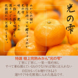 みかん 【みかんの館】 有田みかん ブランド産地 田村地区産 光の雫 贈答用 特秀 S 55~65個 5kg 和歌山県 蜜柑 ミカン 柑橘 《11/下旬～12/上旬より出荷》