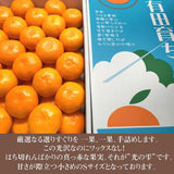みかん 【みかんの館】 有田みかん ブランド産地 田村地区産 光の雫 贈答用 特秀 S 55~65個 5kg 和歌山県 蜜柑 ミカン 柑橘 《11/下旬～12/上旬より出荷》