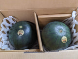 スイカ 小玉スイカ 【高橋農園】ひとりじめBONBON ２玉 4〜5kg 秀 尾花沢 贈答用 山形県  ひとりじめボンボン《7/中旬〜7/下旬より出荷》