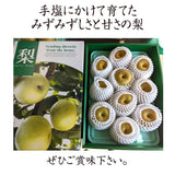 梨 【羽田梨園】 萱場の梨 5kg Lサイズ以上 10～14玉 贈答用 福島県 福島市《8/下旬〜9/上旬より出荷》