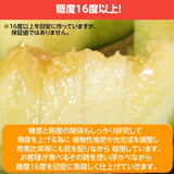 メロン 【方波見農園】 むつみレッド イバラキング クインシー  タカミ タカミレッド どれか1種 3L以上 2玉 2.4~3.6kg 糖度16度以上 贈答用 茨城県鉾田市 母の日 父の日 《5/上旬～5/中旬より出荷》