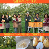 洋梨 【あべき倶楽部】 洋ナシ 2種類入り 5kg 8～24個 ご家庭用 訳あり 福島県 洋なし 《10/下旬～11/上旬より出荷》