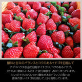 いちご 【アグリハウス秋山】 とちおとめ 250g×4パック 翌日配達の地域(北海道・中国・四国・九州・沖縄以外）限定　福島県須賀川 苺 イチゴ 《12/中旬より出荷》