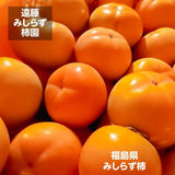 柿 【遠藤みしらず柿園】 みしらず柿 （ 身不知柿 ） 10kg 4L 28~29個 福島県会津 《11/中～11/下旬より出荷》