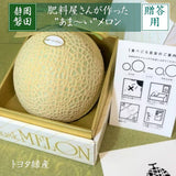 メロン 【トヨタ緑産】  肥料屋さんが作った あま～いメロン 1玉 1.2㎏ 贈答用 静岡県磐田市