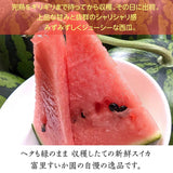 スイカ 【富里すいか園】 富里スイカ MA 5～6kg 1個 千葉県富里市 すいか 父の日 《5/下旬～6/上旬より出荷》