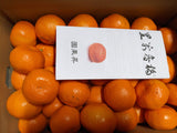 みかん 【昇果園】 S~M 5kg 約50～65個 家庭用 静岡県 浜松市 蜜柑 ミカン 《10/中旬～10/下旬より出荷開始》