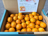 みかん 【みかんの館】 有田みかん ブランド産地 田村地区産 ちびみかん ミニミニ ぷちすぃーと 7㎏ S以下 和歌山県 蜜柑 ミカン 柑橘 《12/中旬～12/下旬より出荷》