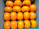 柿 【遠藤みしらず柿園】 みしらず柿 （ 身不知柿 ） 5kg 4L 15~17個 福島県会津 《11/中～11/下旬より出荷》