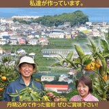 みかん 【みかんの館】 有田みかん ブランド産地 田村地区産 ちびみかん ミニミニ ぷちすぃーと 3㎏ S以下 和歌山県 蜜柑 ミカン 柑橘 《12/中旬～12/下旬より出荷》