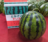 スイカ 【富里すいか園】 特大 富里スイカ 3L 8～9kg 1個 千葉県富里市 すいか 父の日 《5/下旬～6/上旬より出荷》