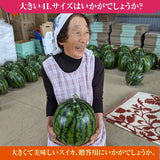 スイカ 【富里すいか園】 特大 富里スイカ 4L 1個 9kg以上 千葉県富里市 すいか 父の日 《5/下旬～6/上旬より出荷》
