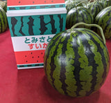 スイカ 【富里すいか園】 特大 富里スイカ 4L 1個 9kg以上 千葉県富里市 すいか 父の日 《5/下旬～6/上旬より出荷》