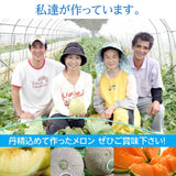 メロン 【方波見農園】 むつみレッド イバラキング クインシー  タカミ タカミレッド どれか1種 3L以上 2玉 2.4~3.6kg 糖度16度以上 贈答用 茨城県鉾田市 母の日 父の日 《5/上旬～5/中旬より出荷》