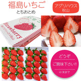 いちご 【アグリハウス秋山】 とちおとめ 3L~4L 大玉 12～15個×2P 750g 翌日配達の地域(東北～近畿）限定 贈答用 福島県 須賀川 苺 《1/上旬～1/中旬より出荷》