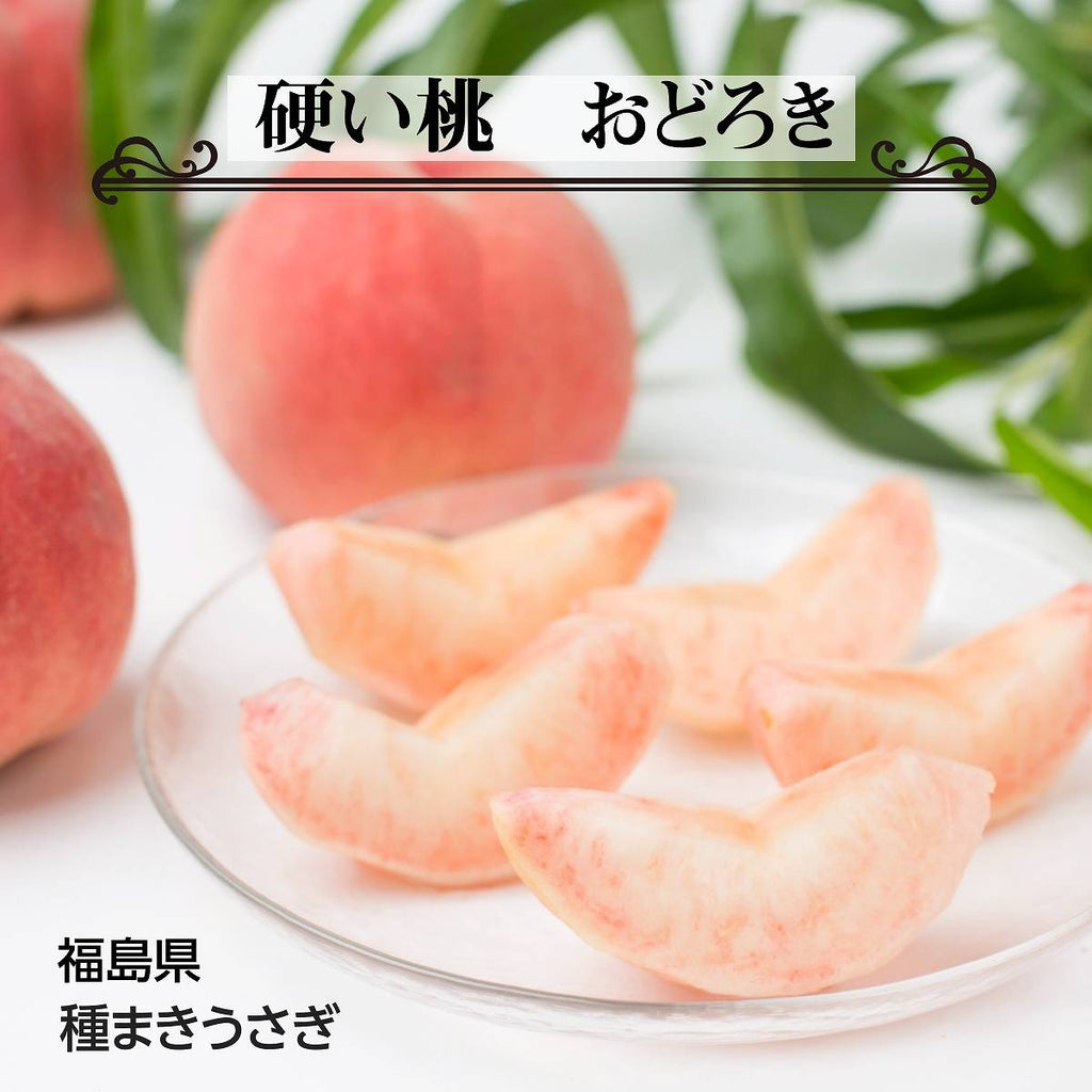桃 【種まきうさぎ】硬い おどろき 3kg（7～11個） もも 福島県 伊達市 《8/10～8/20出荷》
