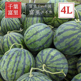 スイカ 【富里すいか園】 特大 富里スイカ 4L 1個 9kg以上 千葉県富里市 すいか 父の日 《5/下旬～6/上旬より出荷》