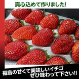 いちご 【有慶農園】 とちおとめ デラックス 3L～4L 大玉24～30粒（12～15個×2パック） 福島県須賀川 苺 イチゴ 《1/中旬～1/下旬より出荷》