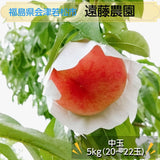 桃 【遠藤農園】 もも  5kg 中玉 20～22個 品種色々 贈答 福島県 会津 《7/下旬～8/上旬から出荷》