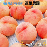 桃 【遠藤農園】 もも 5kg 大玉 14～18個 品種色々 贈答 福島県 会津 《7/下旬～8/上旬から出荷》