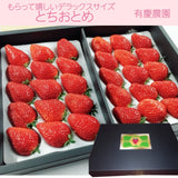 いちご 【有慶農園】 とちおとめ デラックス 3L～4L 大玉24～30粒（12～15個×2パック） 福島県須賀川 苺 イチゴ 《1/中旬～1/下旬より出荷》