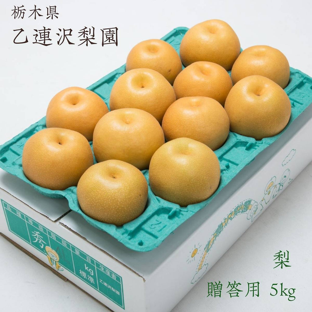 梨 【 乙連沢梨園 】 5kg 10～14個 贈答用 プレゼント 栃木県 《9/上旬〜9/中旬より出荷》