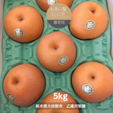 梨 【 乙連沢梨園 】大きい にっこり  5kg 6～8個 贈答用 プレゼント 栃木県 《10/中旬～10/下旬より出荷》