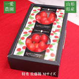 さくらんぼ 【一愛農園】 佐藤錦 ダイヤパック100g×２ 200g 特秀 M 母の日 山形県 東根市 《4/下旬～5/上旬より出荷》