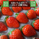 いちご 夏いちご  雷峰 2000g ミニ S （500g 42×2P 84個)×4箱 秀 福島 飯館 ケーキ お菓子作り イチゴ 苺 夏 業務用