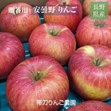 りんご 【帯刀りんご農園】 サンフジ 5kg 贈答用 13～18玉 長野県安曇野市 リンゴ 林檎 ふじ フジ サンふじ