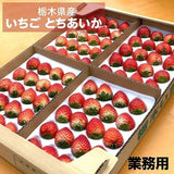 いちご 《 業務用 》 とちあいか L24個(2L20個)×4P×6箱 約8.4㎏ 栃木県産 イチゴ 国産 苺