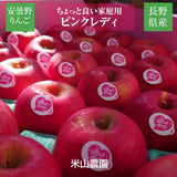 りんご 【信州安曇野 米山農園】 小玉りんご ピンクレディ ちょっと良い家庭用 2.5kg 10～15個 長野県安曇野 林檎 《1/中旬～1/下旬より出荷》