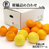 柑橘 【高石垣ファーム】 有田地区 柑橘食べ比べ 3種類以上 家庭用 4kg 訳あり みかん 和歌山県 《3/上旬～3/中旬より出荷》