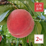 桃 【芦澤農園】 もも 高級 春日居の桃 2kg 中玉 6~7個 お中元 御中元 山梨県笛吹市 《6/下旬～7/上旬より出荷》