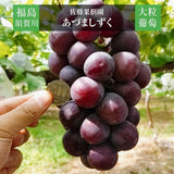 ぶどう 【佐藤果樹園】 あづましずく 2kg 3〜4房 贈答用 福島県 ブドウ 葡萄 《8/中旬～下旬出荷》