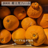 柑橘  【柑土里ファーム】 ネーブル しらぬい 2種類入り 3.5kg センサー 静岡県三ケ日 不知火 《3/中旬～3/下旬より出荷》