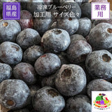 冷凍ブルーベリー 加工用 業務用 10.5kg (1.5kg×7袋)国産 福島県 冷凍 フルーツ 果物《7/中旬より出荷》