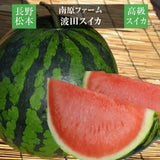 スイカ 【南原ファーム】 高級 波田スイカ 2L～3L 7～9kg 長野県松本市 御中元 《7/中旬より出荷》