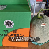 メロン 【阿部商店】 夕張メロン 贈答用 共撰 良品以上 1玉 1.2～1.5kg  お中元 御中元 プレゼント ギフト 北海道 《7/上旬～7/中旬出荷》