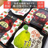 さくらんぼ 【一愛農園】 佐藤錦 M 特秀 100g×2 & 山形産フルーツゼリー 贈答用 母の日 父の日 山形県東根市 《4/下旬～5/上旬より出荷》