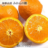 柑橘  【みかんの館】 有田 ブランド産地 田村地区産 のうろく 3㎏ 和歌山県 かんきつ みかん 《2/中旬～2/下旬より出荷》