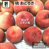 桃 【種まきうさぎ】硬い おどろき 訳あり品 家庭用 2.5kg 福島県 もも 《8/1～8/20の出荷 指定日不可》