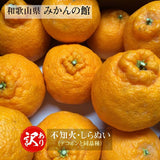 しらぬい 【みかんの館】 有田 ブランド産地 田村地区産 熟デコ 不知火 3㎏ 訳あり 家庭用 和歌山県 デコポン と同品種 みかん 柑橘 《2/下旬～3/上旬より出荷》