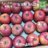 りんご 【帯刀りんご農園】 サンフジ 10kg 32～40個 ちょっぴり良い家庭用 個包装 長野県安曇野市 リンゴ 林檎 ふじ フジ サンふじ